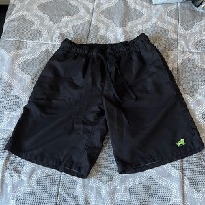 Old Navy swim shorts